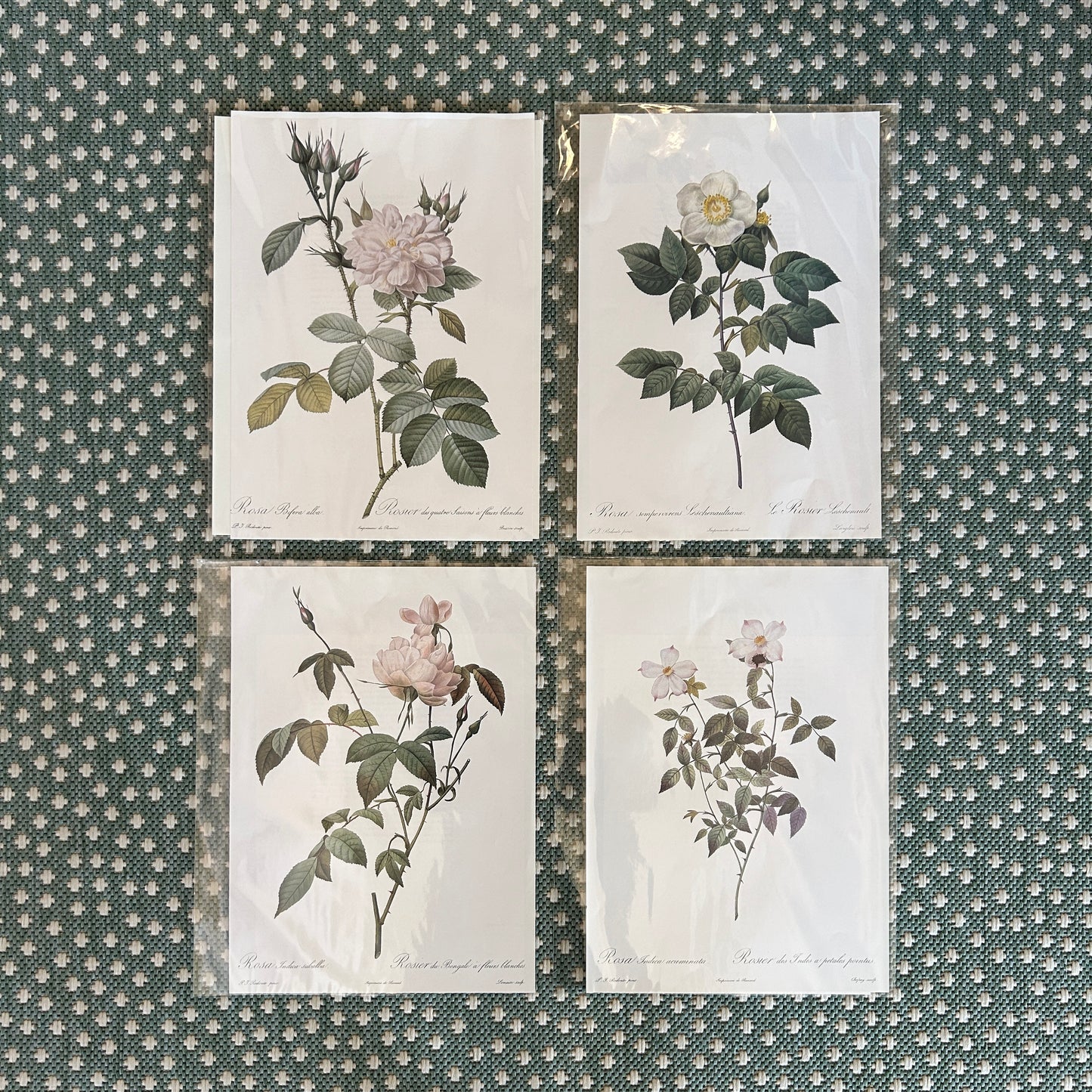 Botanical Rose Prints (set of 4)