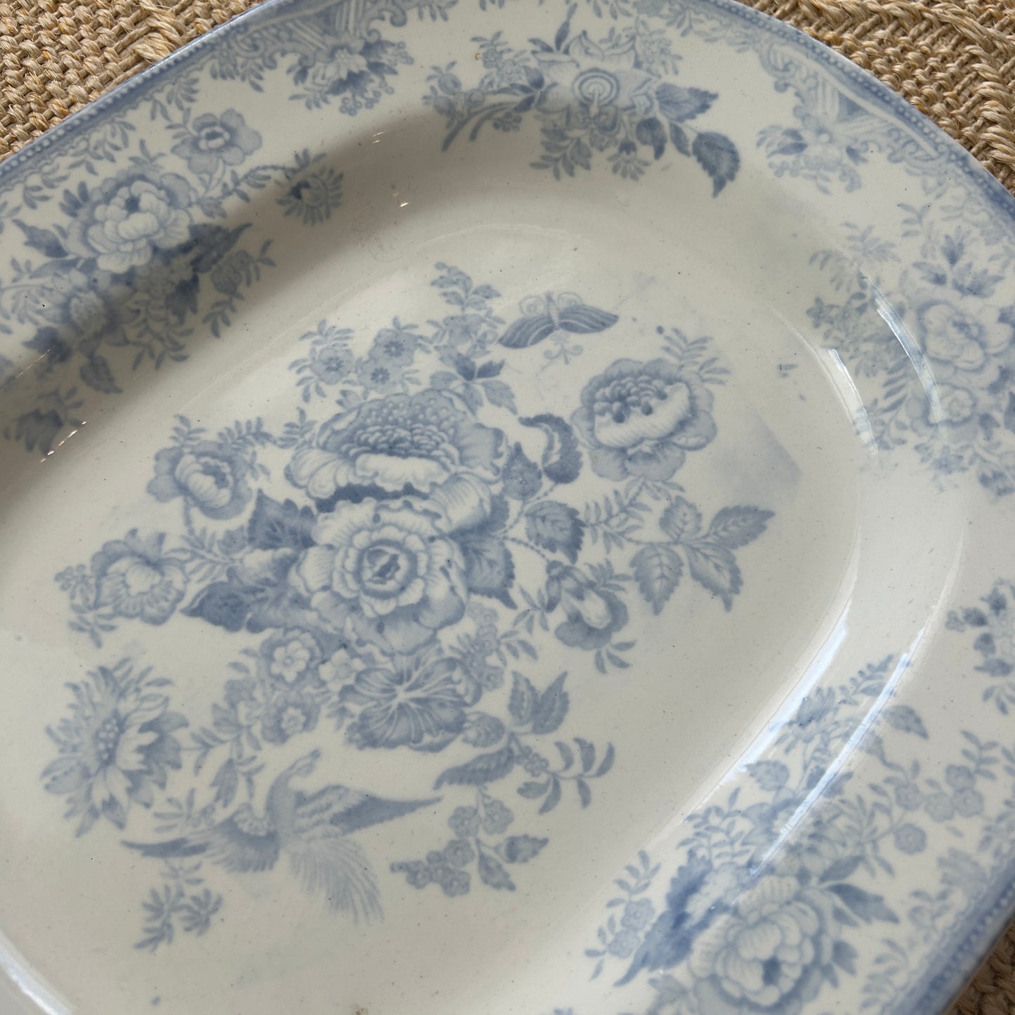 Blue Asiatic Pheasant Platter