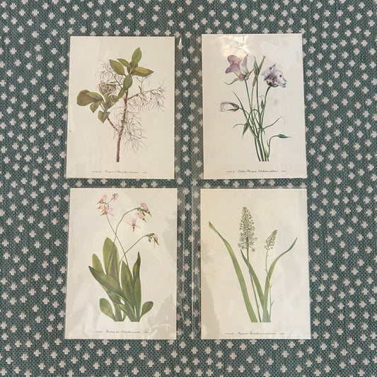 Botanical Floral Prints (set of 4)